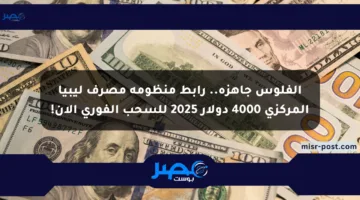 الفلوس جاهزة.. رابط منظومة مصرف ليبيا المركزي 4000 دولار 2025 للسحب الفوري الآن!